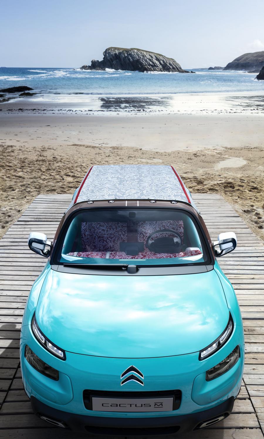  Citroen Cactus M Concept 2015 года  (фото 13 из 66)